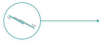 九游会·J9 - 中国官方网站 | 真人游戏第一品牌